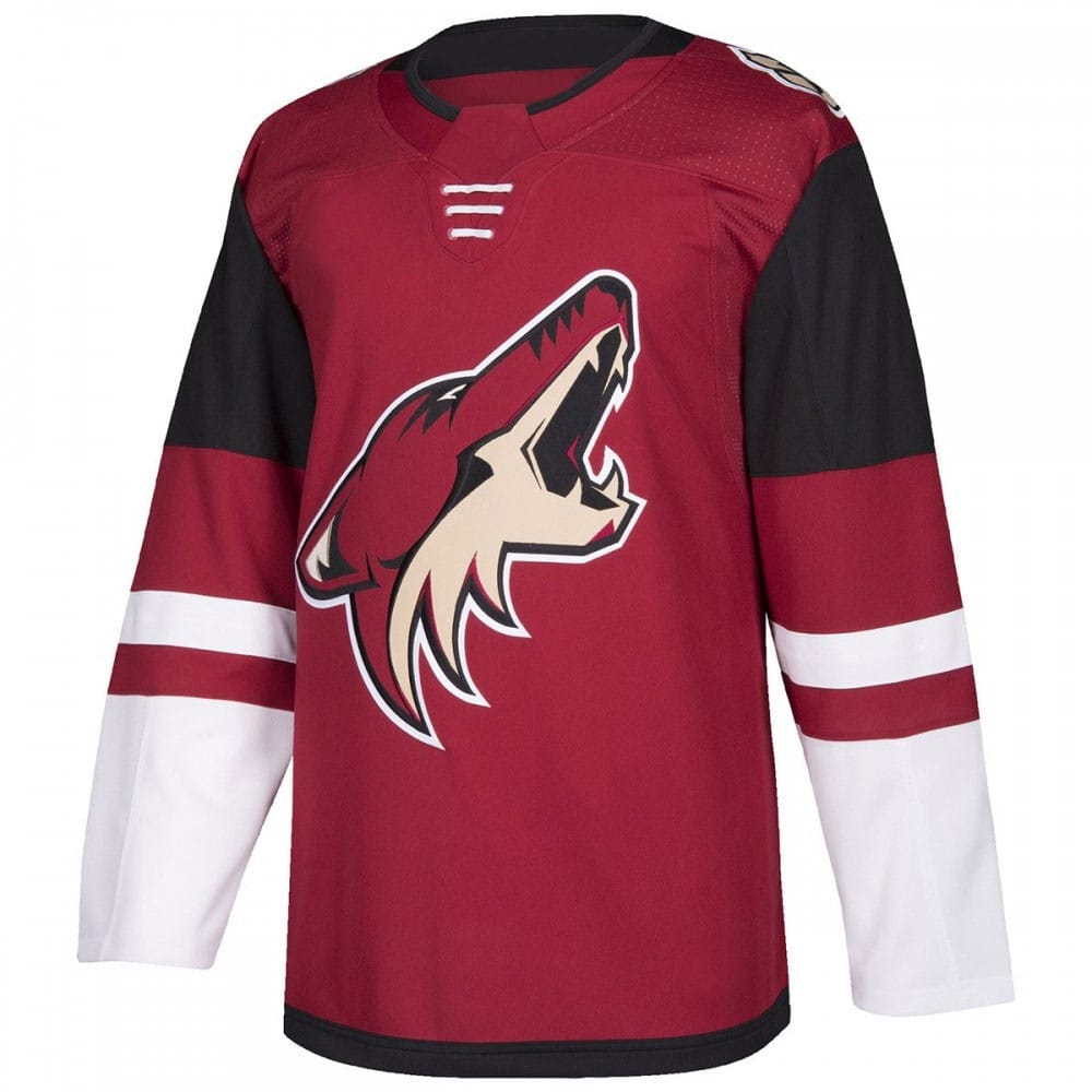 ICE-HOCKEY-JERSEY1.jpg Ice Hockey Jersey - Image 1